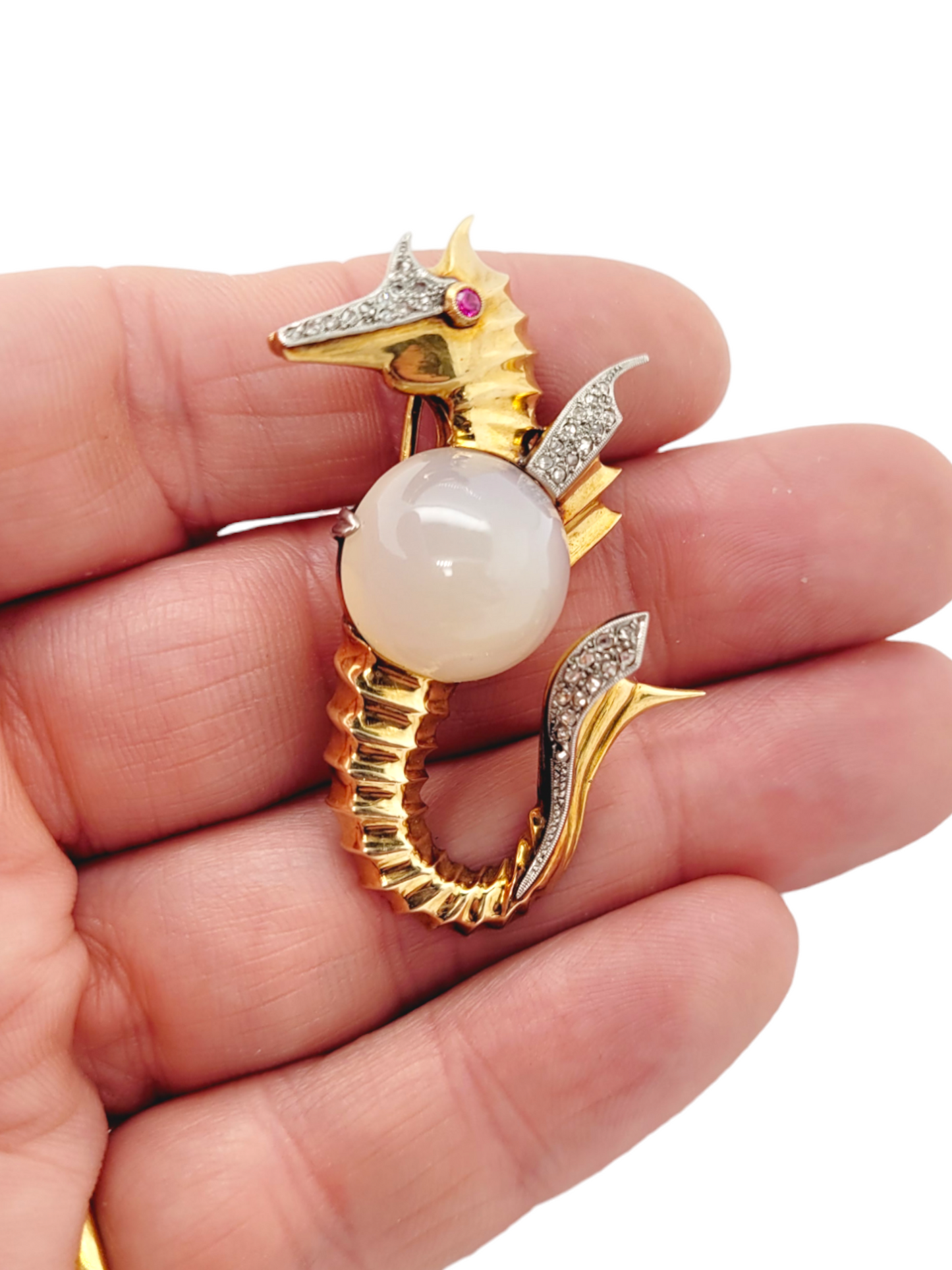 Unusual Cutie vintage sea horse
SKU: 7115