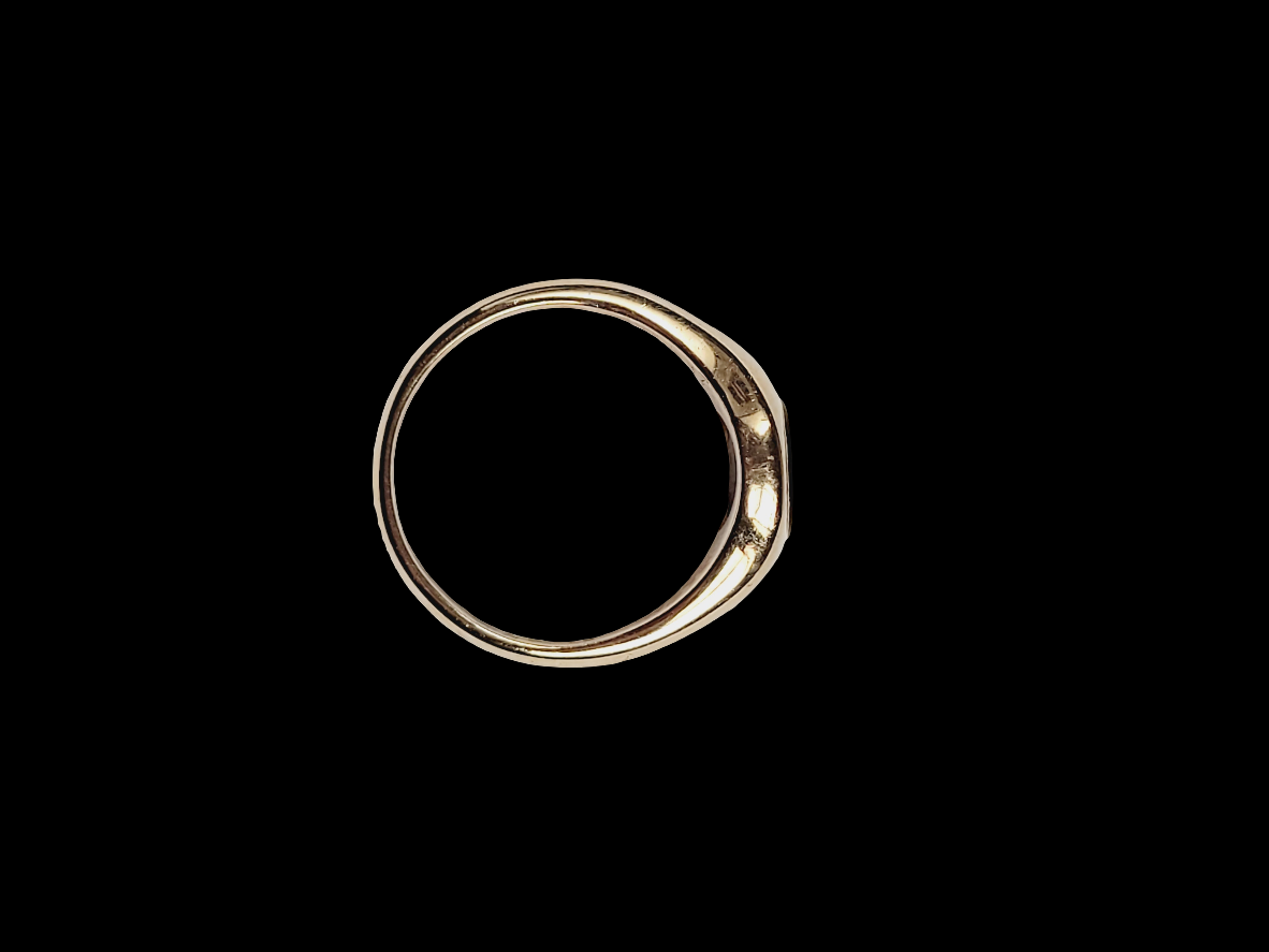 Oval bloodstone heavy 9ct gold signet ring sku 8445