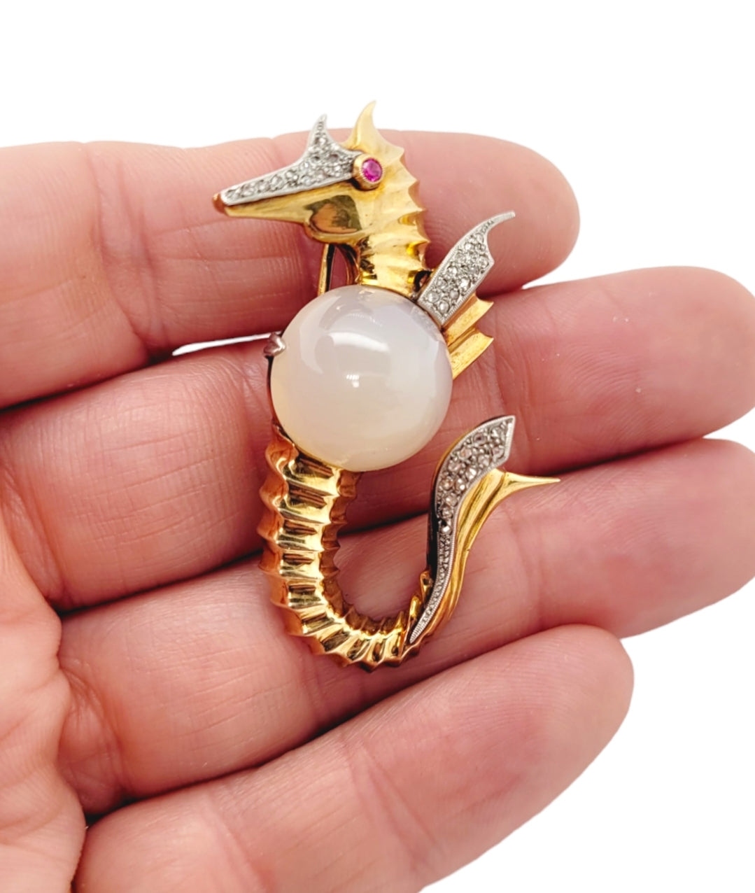 Unusual Cutie vintage sea horse
SKU: 7115